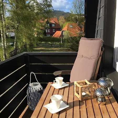 Luxuriöse 3-zi. Jagdromantik 200 M Bis Zur Wurmbergsseilbahn * Braunlage