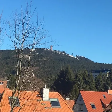 Luxurioese 3-zi. Jagdromantik 200 M Bis Zur Wurmbergsseilbahn 布劳恩拉格