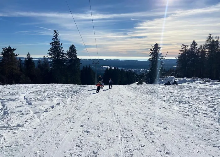 Luxurioese 3-zi. Jagdromantik 200 M Bis Zur Wurmbergsseilbahn * Braunlage
