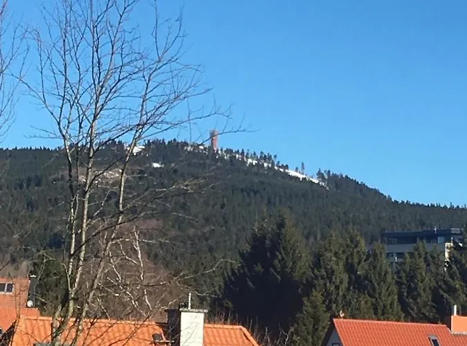Luxurioese 3-zi. Jagdromantik 200 M Bis Zur Wurmbergsseilbahn Braunlage